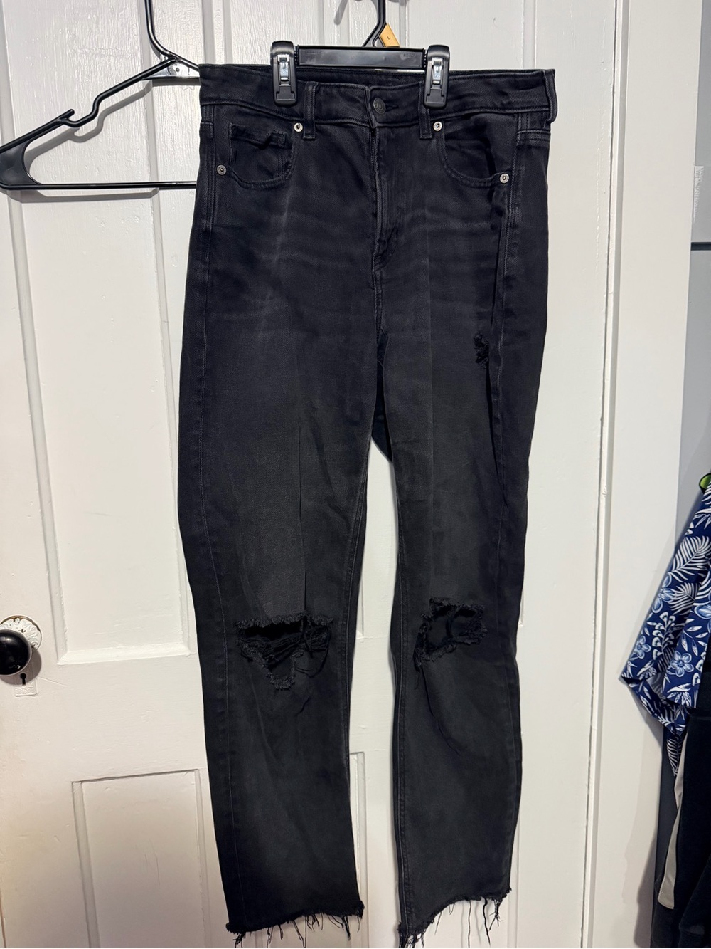 American eagle 10 long